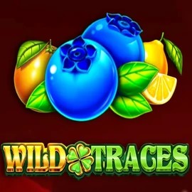 Official Slots logo: Wild Traces by Amusnet Interactive at SkyHills Casino